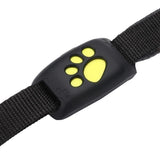 Smart Pet Coleira GPS Z8 - Frete Gratis