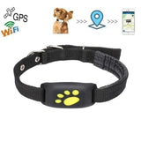 Smart Pet Coleira GPS Z8 - Frete Gratis